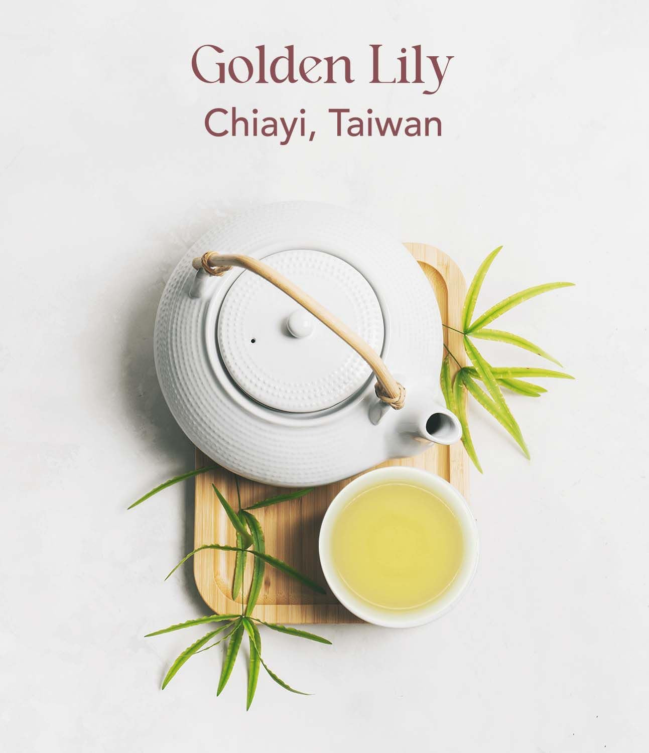 Golden Lily Taiwan Oolong Tea Bags with Floral and Milky Notes, Eco-Friendly, Hand-Picked Whole Leaves