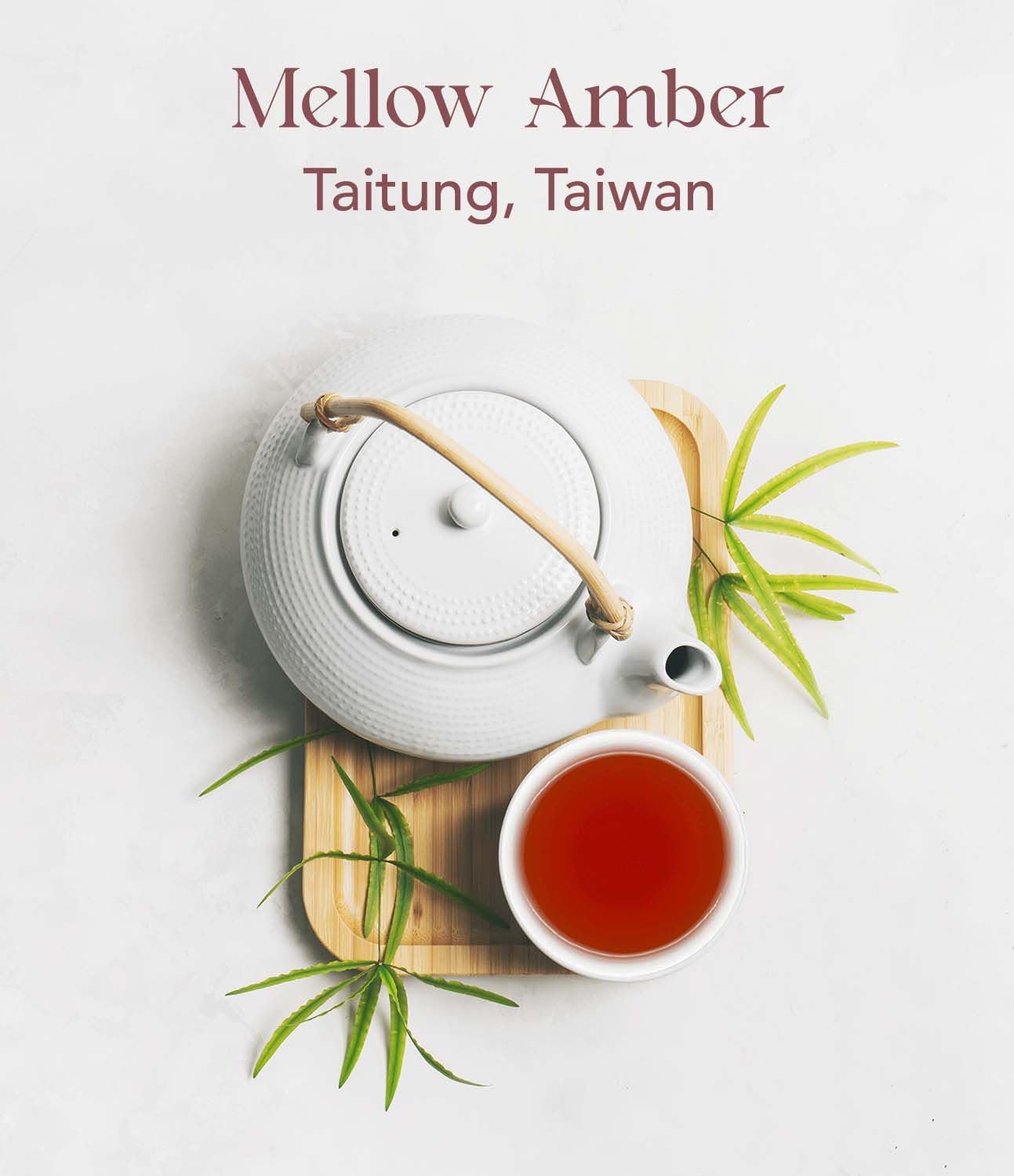 Mellow Amber Oolong Tea Bags, Hand-Picked Quality, Honey and Ripe Fruit Notes, Eco-Friendly