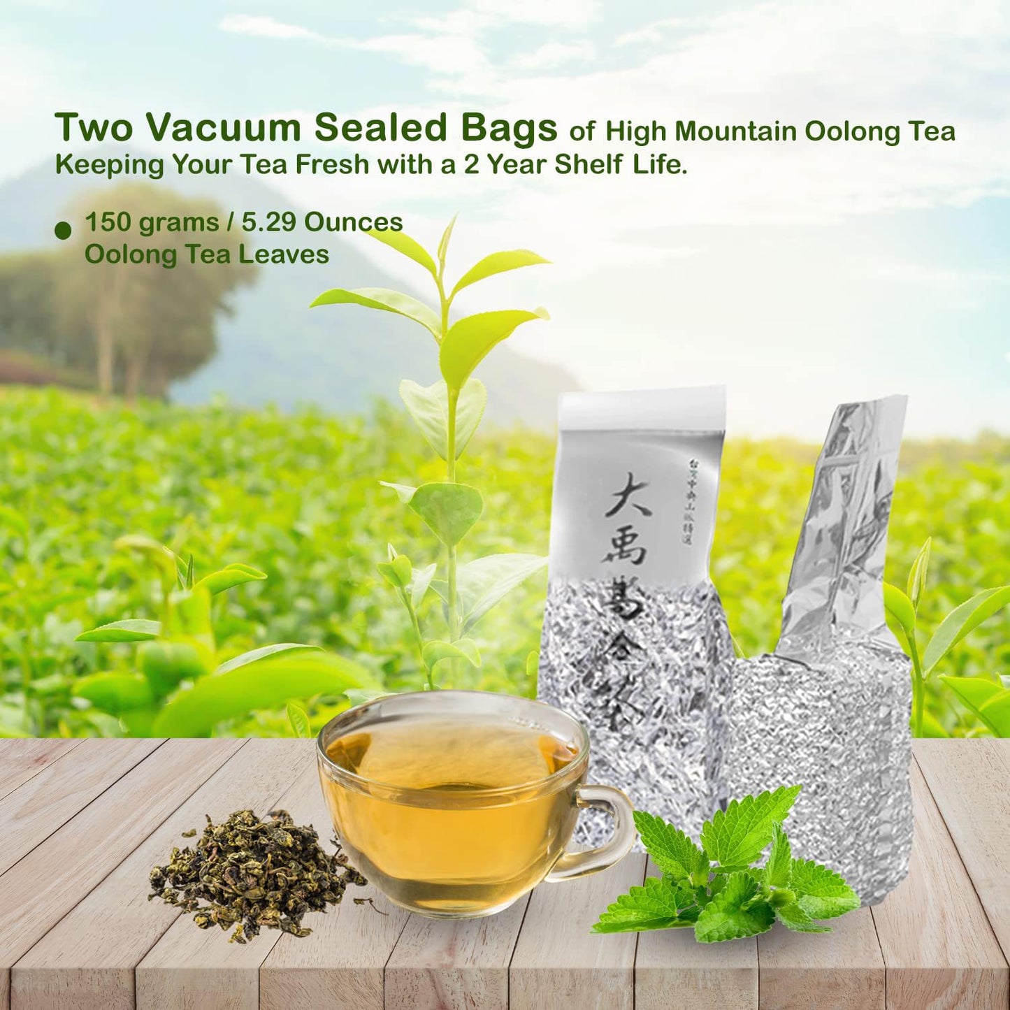 Oolong Loose Leaf Tea in Aesthetic Tin, High Mountain Oolong from Taiwan, Unsweetened Tea