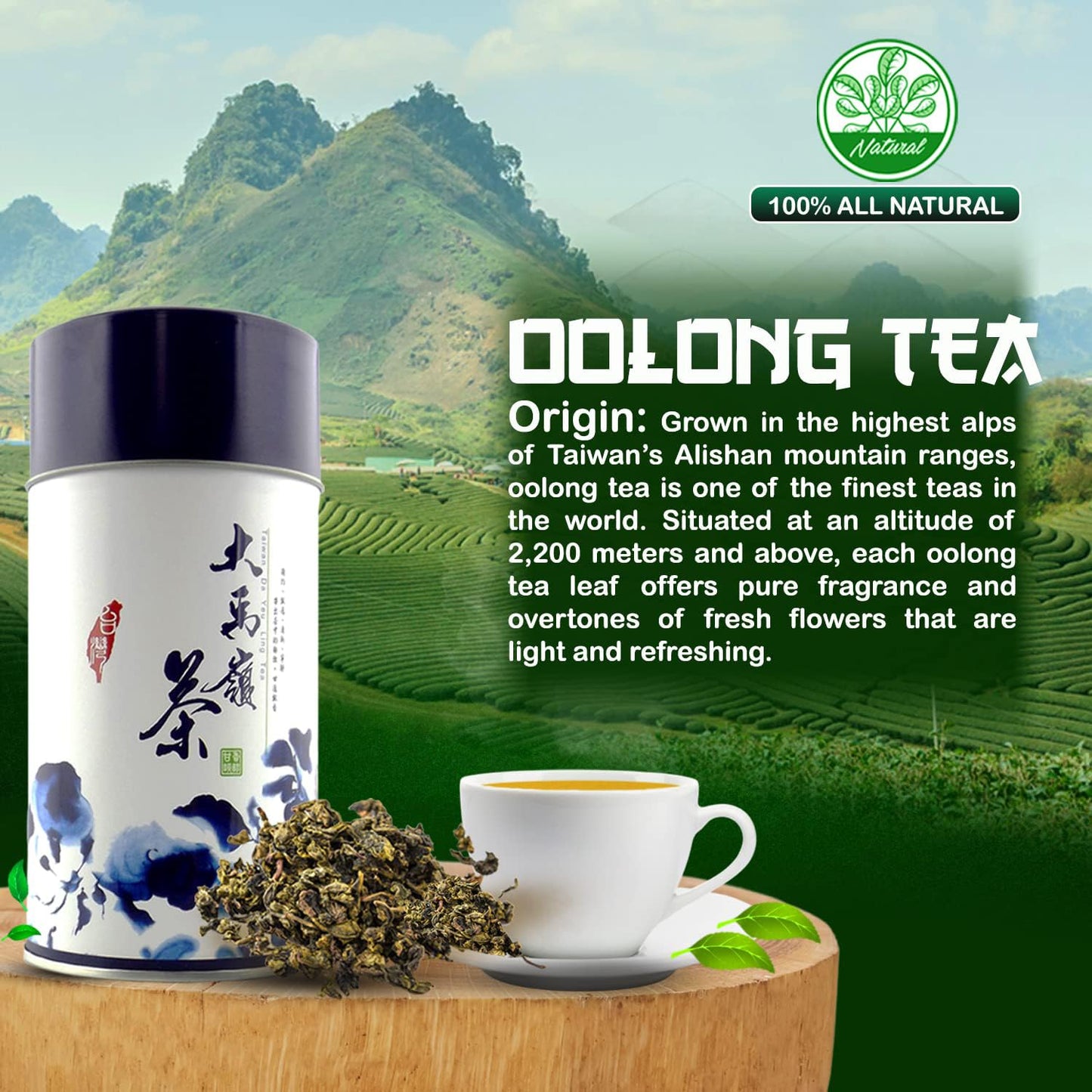 Oolong Loose Leaf Tea in Aesthetic Tin, High Mountain Oolong from Taiwan, Unsweetened Tea